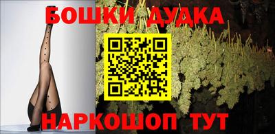 прущие грибы Владикавказ