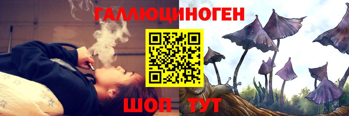 Псилоцибиновые грибы Magic Shrooms  Псилоцибиновые грибы Psilocybe  Вход с VPN  Большой Камень 
